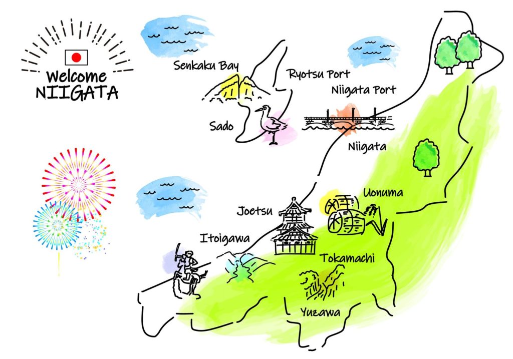新潟県の自治体が実施するグリーンカーテンでの暑さ対策