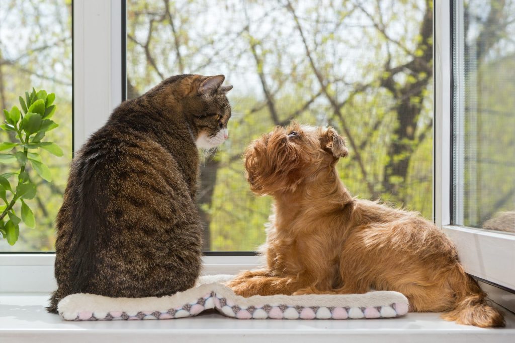 犬や猫の鳴き声を防音する内窓の種類